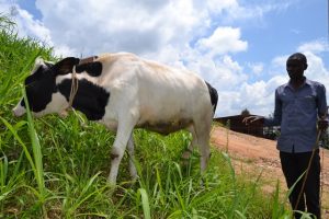 Community Involvement