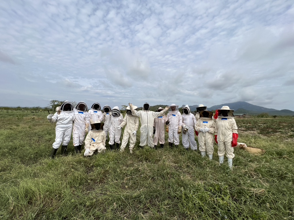 Educational Workshops